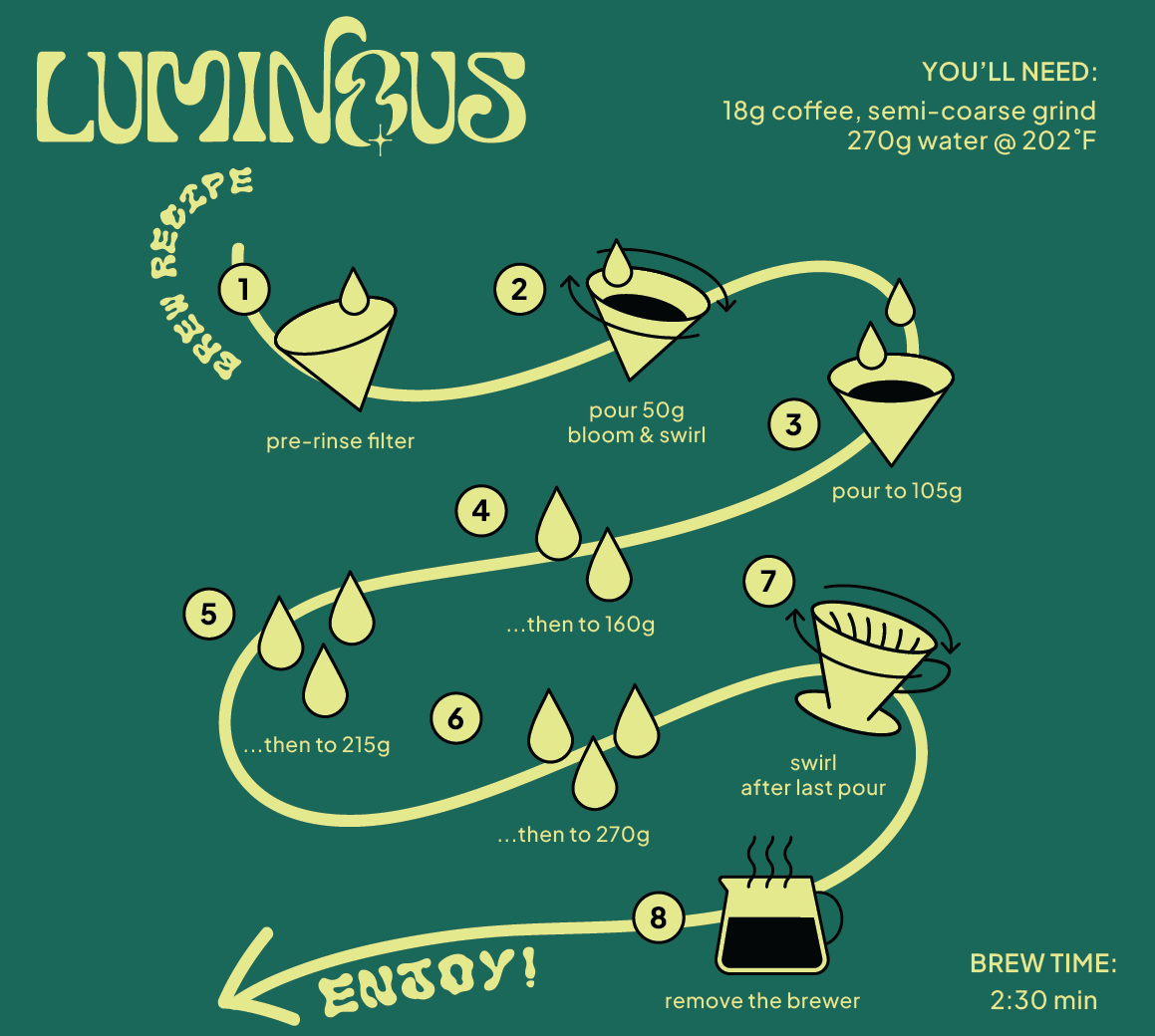EL SALVADOR GESHA ANAEROBIC NATURAL