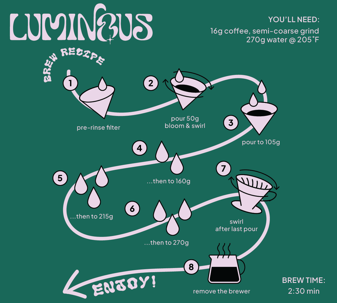 Guatemala Red Pacamara Anaerobic In Cherry Washed