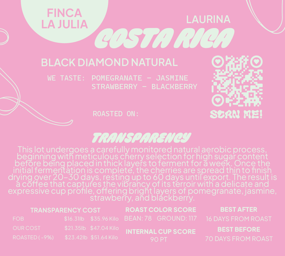 COSTA RICA LAURINA BLACK DIAMOND NATURAL