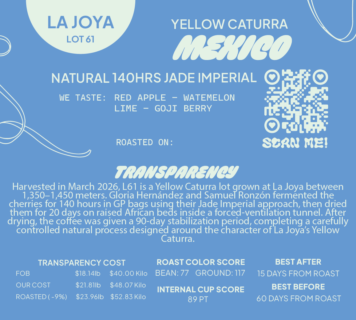 Mexico Yellow Caturra Natural 140hr IMPERIAL JADE Lot 61