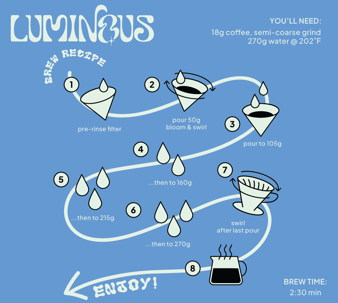 Ecuador Typica washed