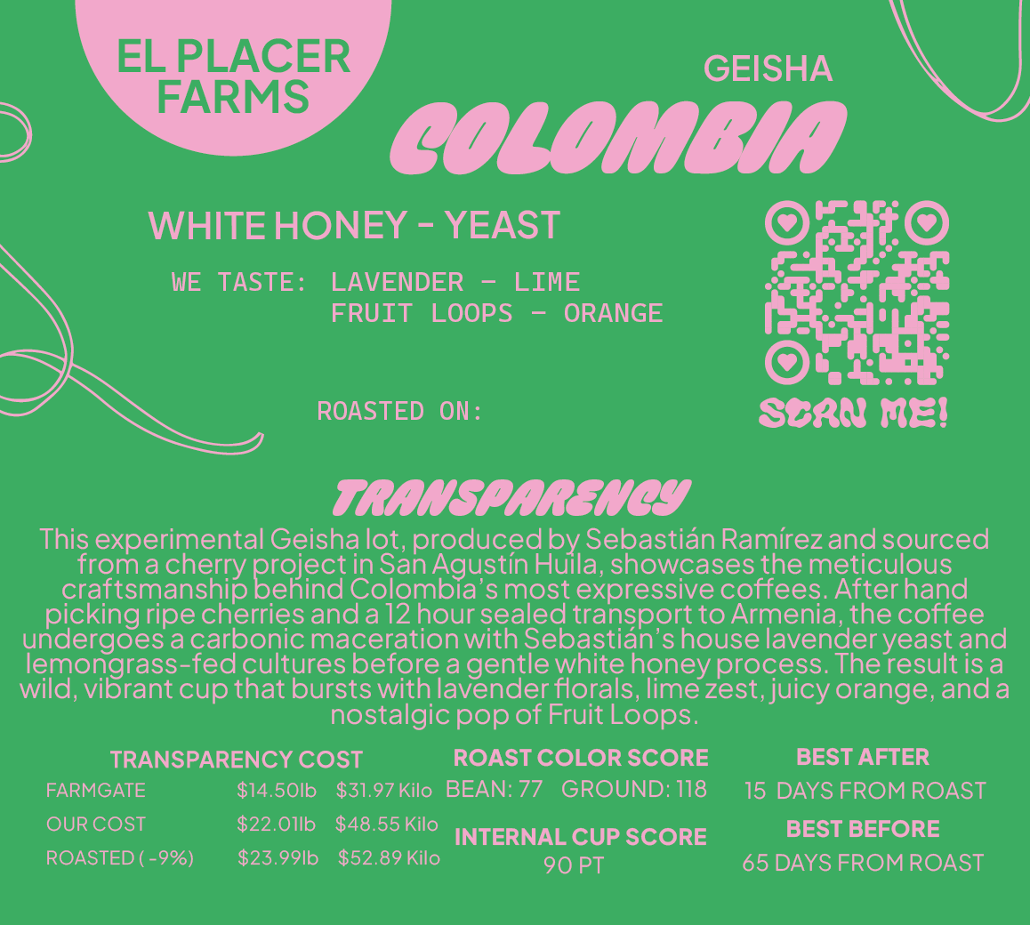 Colombia Geisha White Honey