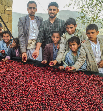 Yemen Anaerobic Slow Dry 6 Day Natural Al-Khanshali Estate III