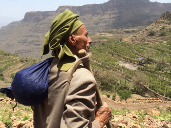 Yemen Anaerobic Slow Dry 6 Day Natural Al-Khanshali Estate III