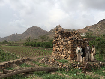 Yemen Anaerobic Slow Dry 6 Day Natural Al-Khanshali Estate III