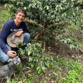 COLOMBIA GESHA WASHED EL OBRAJE