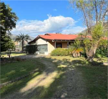 COLOMBIA GESHA WASHED EL OBRAJE