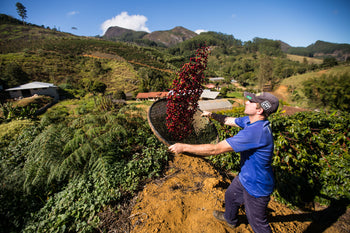 Brazil Natural Espirito Santo Contest 5th Place