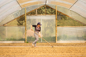 Brazil Natural Espirito Santo Contest 5th Place