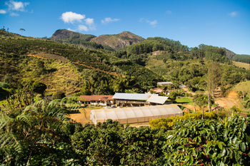 Brazil Natural Espirito Santo Contest 5th Place