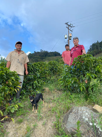 VENEZUELA ANAEROBIC HOHEY