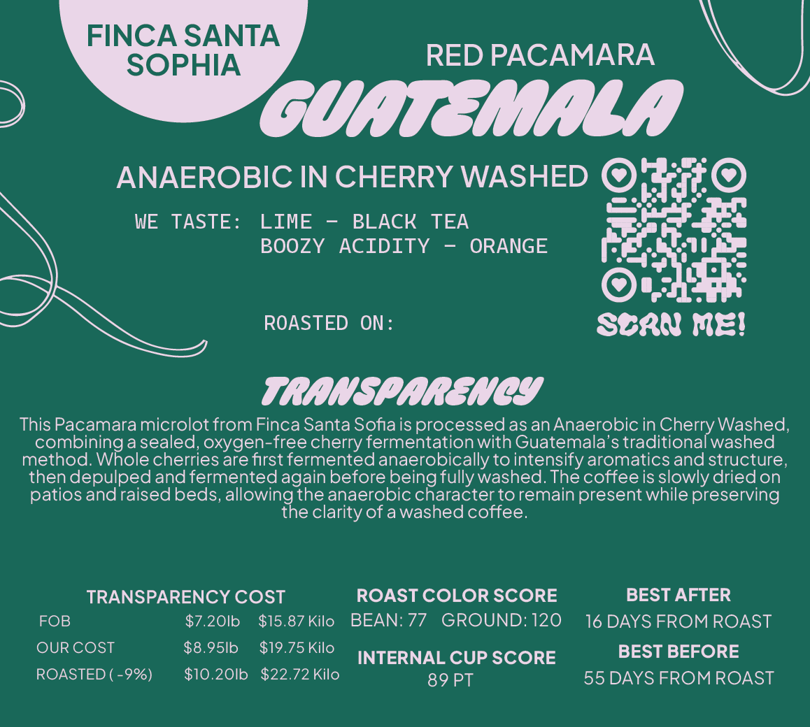 Guatemala Red Pacamara Anaerobic In Cherry Washed
