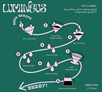 Guatemala Red Pacamara Anaerobic In Cherry Washed