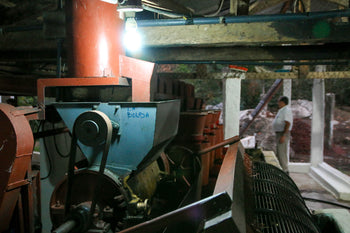 Guatemala Pacamara Natural