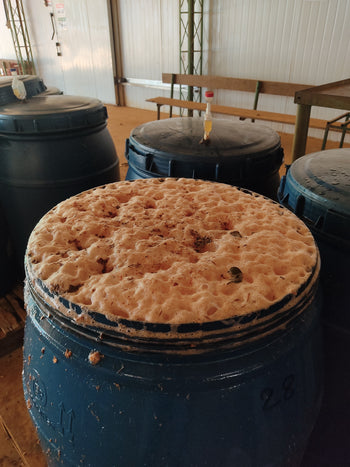 BRAZIL ANAEROBIC NATURAL PINEAPPLE FERMENTATION