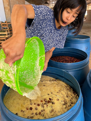 BRAZIL ANAEROBIC NATURAL PINEAPPLE FERMENTATION