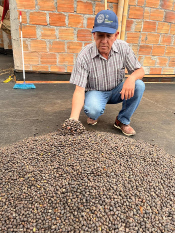 COLOMBIA SIDRA NATURAL DOUBLE FERMENTATION