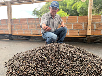 COLOMBIA SIDRA NATURAL DOUBLE FERMENTATION