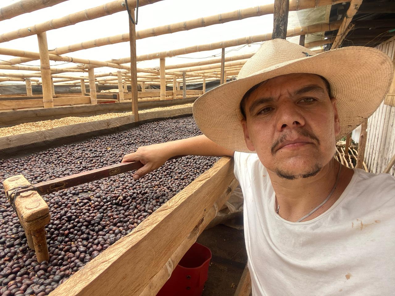 COLOMBIA WUSH WUSH SEMI-WASHED - LUMINOUS COFFEE