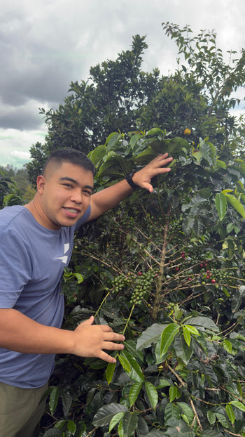 Colombia Geisha Semi Washed Beer Yeast