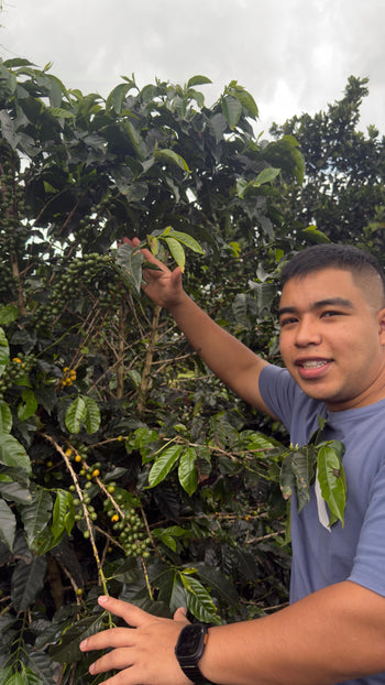 Colombia Geisha Semi Washed Beer Yeast