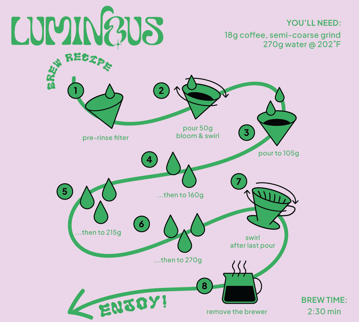 Ecuador Typica Honey Finca Hakuna Matata