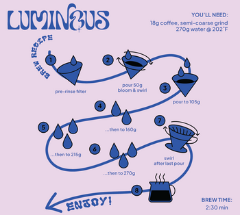 Ecuador GESHA WAVE WASHED