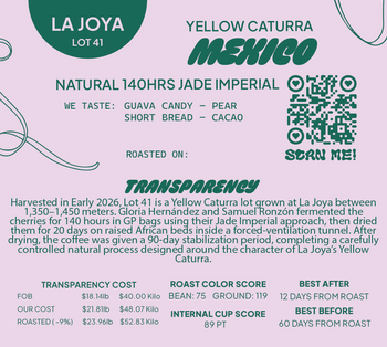 Mexico Yellow Caturra Natural 140hr IMPERIAL JADE Lot 41